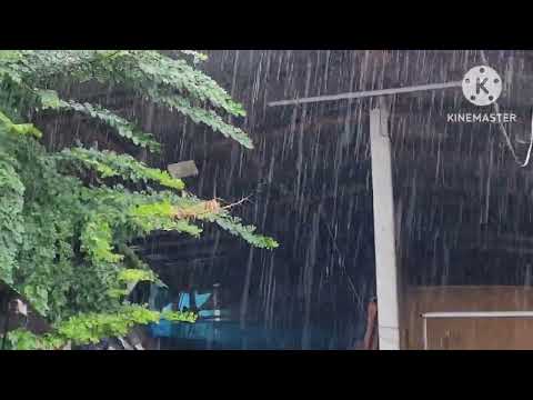 ฝนตกเป็นผลดีต่อเกษตรกรอย่างไรเ