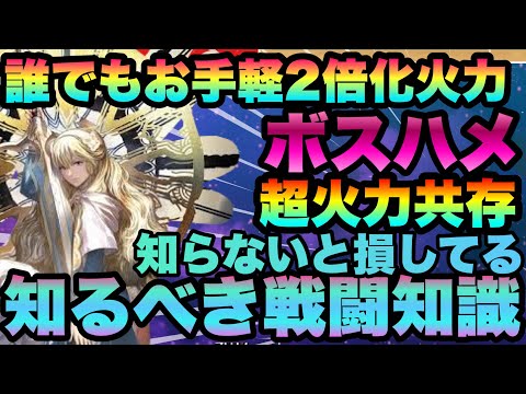 【WIZ ダフネ】　知るだけで2倍以上火力化!!!!ボスハメand超火力戦闘知識まとめやスキルレベルの差がやばい？Wizardry Variants Daphne