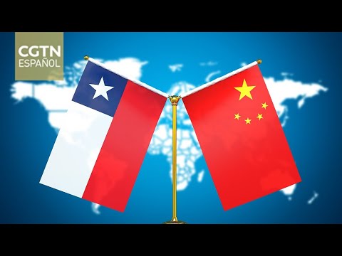 Experto chileno considera que altos índices de movilización dan señales positivas para China