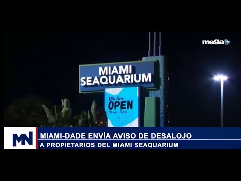 Polémica en Miami 04-22-24 Miami-Dade envía aviso de desalojo a propietarios del Miami Seaquarium