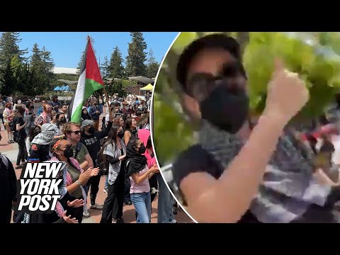 Jewish law student punched in the face after trying to film UC Berkeley anti-Israel protest