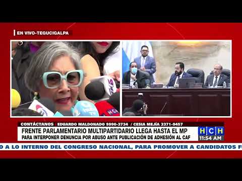 Frente Parlamentario interpone ante el MP, denuncia contra Luis Redondo por Abuso de Autoridad