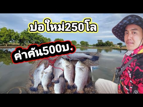 Ep222ตกกะพงบุพเฟ่บ่อบ้านกรู(บ่