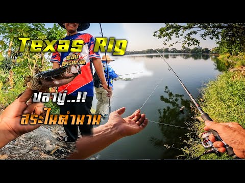TexasRigปลาบู่ด้วยใส้เดือน.