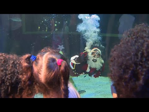 Diving Santa delights young visitors at Rio de Janeiro's National Aquarium