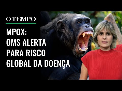 MPOX: saiba os sintomas e como evitar o contágio da doença que tem risco global | Entenda em Minutos