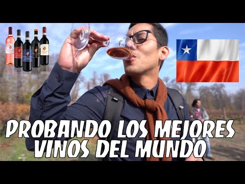 PROBANDO LOS MEJORES VINOS DEL MUNDO (VIÑEDOS EL CHILE)