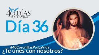40 Coronillas por la VIDA (Día 36) | Todos los días a las 3:00pm (hora Colombia)