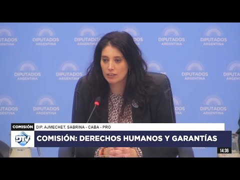 COMISIÓN EN VIVO: DERECHOS HUMANOS Y GARANTÍAS - 2 de julio de 2024 - Diputados Argentina