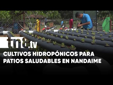 Cultivo hidropónico al servicio de protagonistas de Patio Saludable en Nandaime - Nicaragua