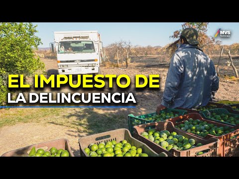 EXTORSIONES del CRIMEN ORGANIZADO a PRODUCTORES AGRÍCOLAS afecta la economía del país