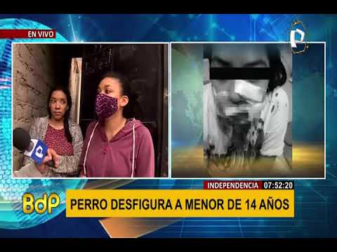 Independencia: niña pierde parte del rostro tras ser atacada por perro mastín