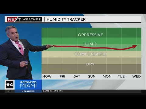 Miami weather for Thursday 5/2/24 11PM