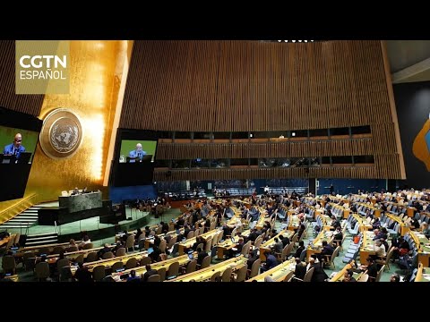 Eligen a 15 Estados como miembros de Consejo de Derechos Humanos de ONU