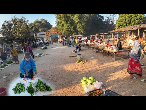 ມ່ວນຫຼາຍ!ຕະຫຼາດນາໂດນຍາມໜາວ●