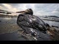 Thom Hartmann: The Gulf of Mexico...one year later