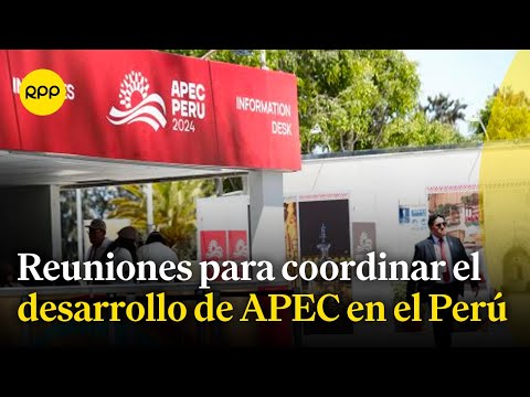 APEC: ¿Cómo se desarrollan las coordinaciones para su realización en el Perú?