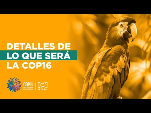 12 días para la COP16: ¿Qué esperar de esta cumbre ambiental?