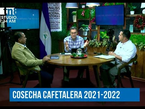 #ENVIVO Estudio TN8 - Tema: Cosecha Cafetalera 2021-2022