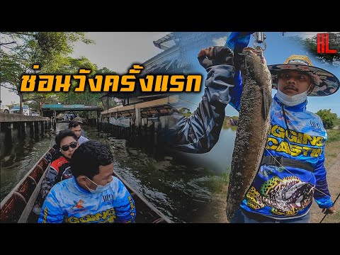 ครั้งแรก..กับช่อนวังกุ้ง ครั้งแรก..กับช่อนวังกุ้ง