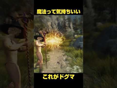 ドラゴンズドグマの魔法使い #DD2 #ドラゴンズドグマ2