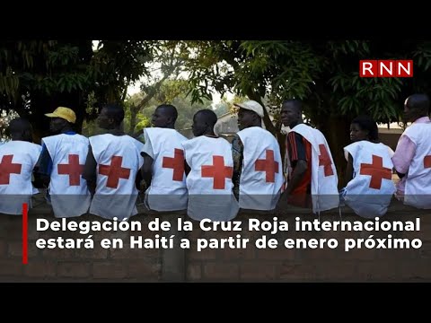 Delegación de la Cruz Roja internacional estará en Haití a partir de enero próximo