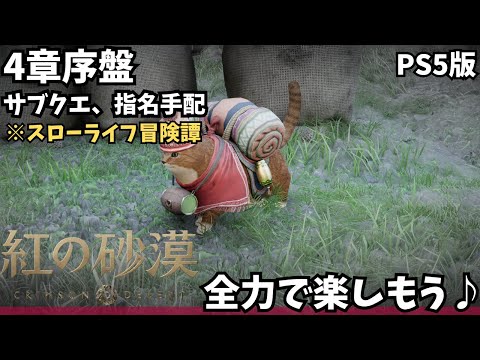 【紅の砂漠/PS5版】第4章序盤、可愛い猫とお宝を探す旅！サブクエや指名手配など今日も寄り道だらけの最遅攻略 #14【CRIMSON DESERT/ゲーム実況】