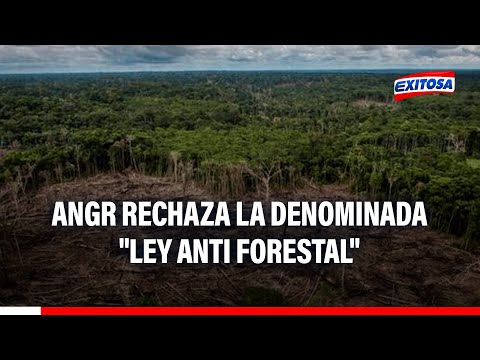 ANGR rechaza la denominada Ley Anti Forestal y pide la derogatoria
