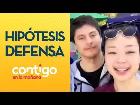 QUIZÁS DECIDIÓ IRSE: Las hipótesis de la defensa de Nicolás Zepeda - Contigo en la Mañana