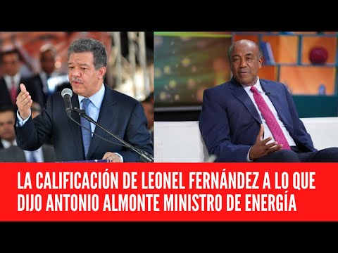 LA CALIFICACIÓN DE LEONEL FERNÁNDEZ A LO QUE DIJO ANTONIO ALMONTE MINISTRO DE ENERGÍA