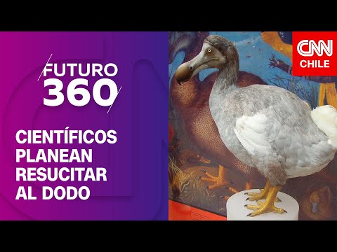 Bloque científico: Científicos planean resucitar al dodo| Futuro 360
