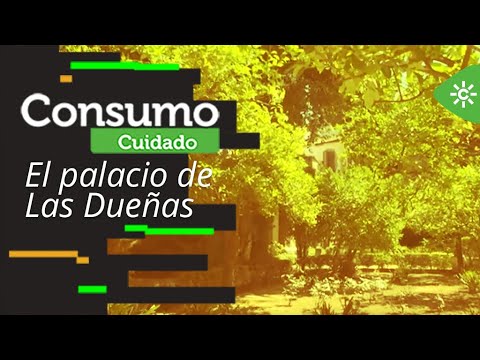 Consumo cuidado | El palacio de Las Dueñas, una joya cultural para el turismo de verano