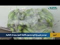 بجودته العالية..موسم غزير لمحصول فاكهة الموز في أبين وأسعار زهيدة