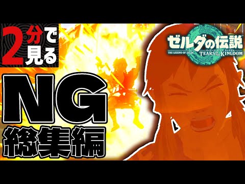 2分で見るティアキンNGシーン総集編【ゼルダの伝説】