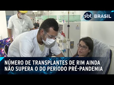 Número de transplantes de rim ainda não supera o do período pré-pandemia | SBT Brasil (13/04/24)