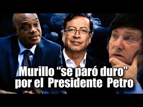 O se respeta nuestra figura presidencial, o nosotros vamos a seguir en consultas, Canciller Murillo