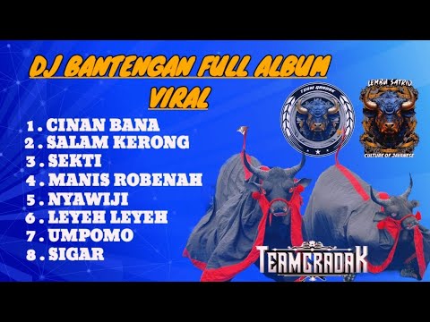 DJ BANTENGAN FULL ALBUM ( LEMBU SATRIO ) ‼️ GAYENG POLL .