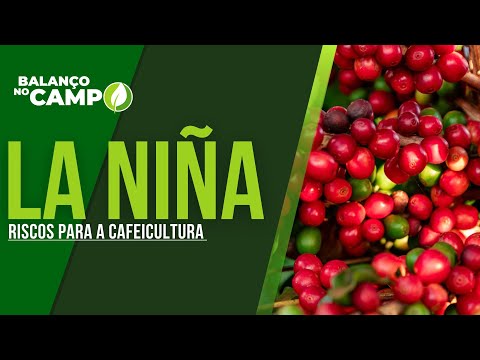 LA NIÑA: RISCOS PARA A CAFEICULTURA