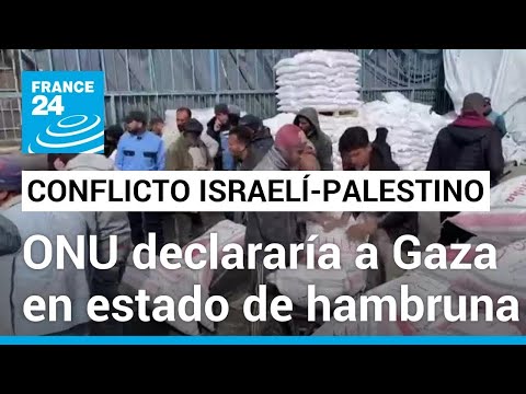 Gaza, a un paso de ser declarada zona de hambruna por parte de la ONU • FRANCE 24 Español
