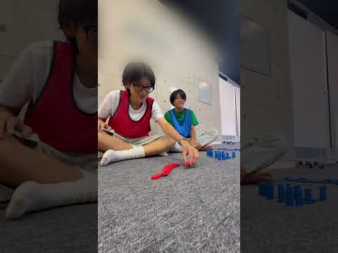 【ドミノ対決】それはどのこで習った揃え方？#夏休み  #中学生youtuber