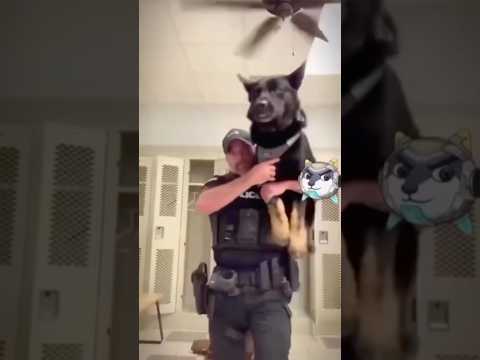 Kacho Best Funny Video 🥺🥺🥺 l KACHO Best TikTok April 2025