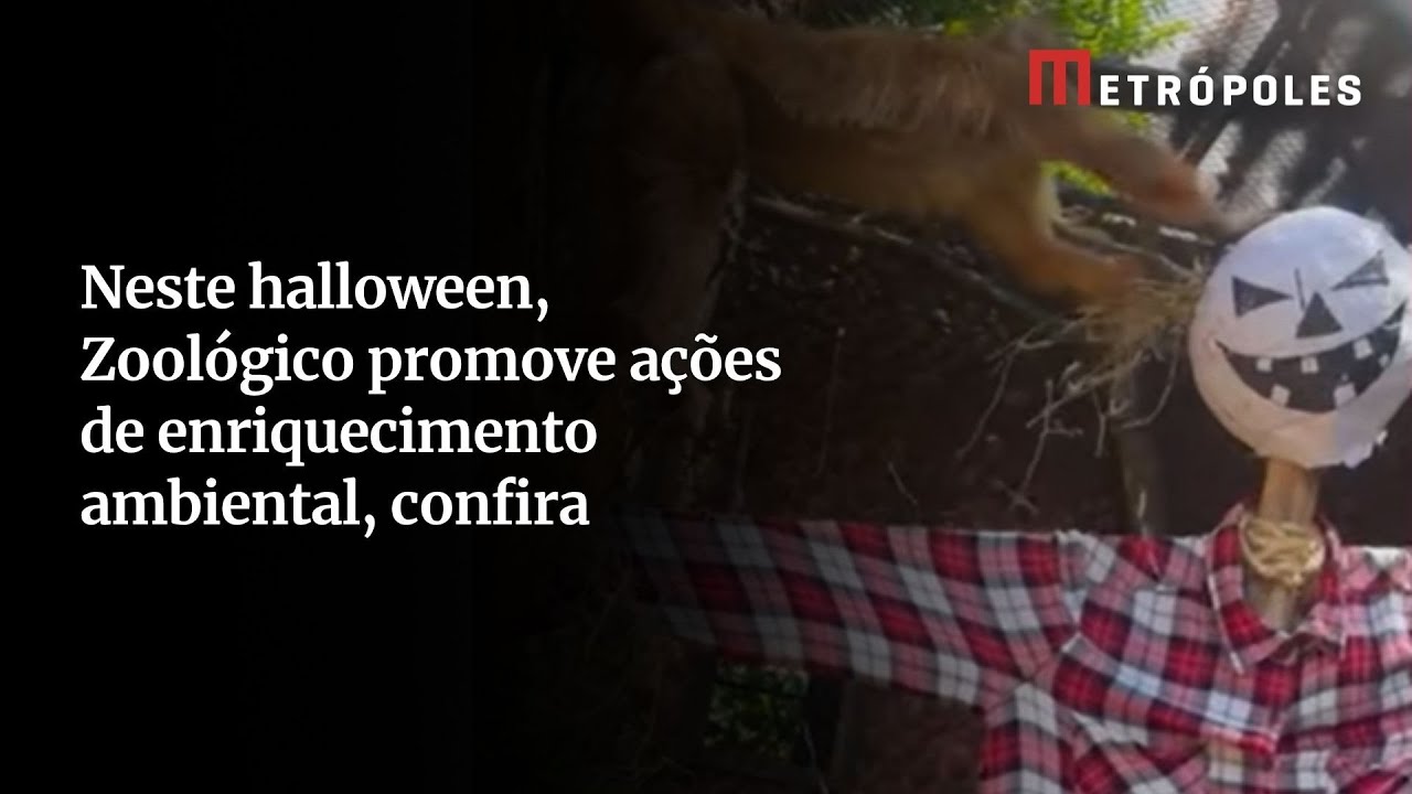 Animais do zoológico de Brasília recebem ações de enriquencimento ambiental