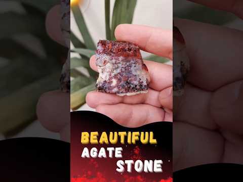 I found an amazing agate stone #agate #shorts