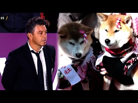 SOBREMESA MARTES 14/11/23: perros bendecidos en Japón y árabes buscan a Marcelo Gallardo
