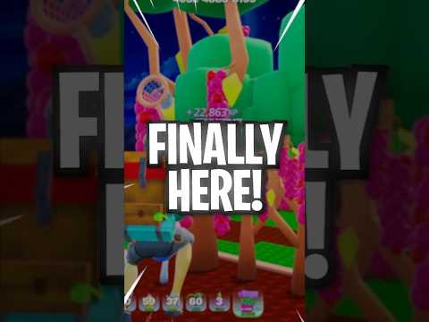 It's finally here!