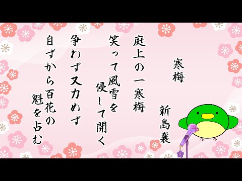 thumbnail_5-GgX-R-KTI