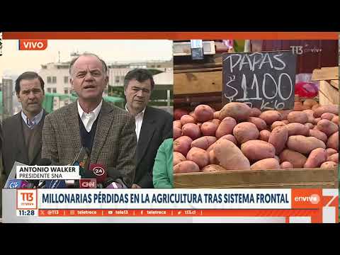 Presidente de la SNA defiende alza en el precio de las papas: “Los precios responden al mercado”