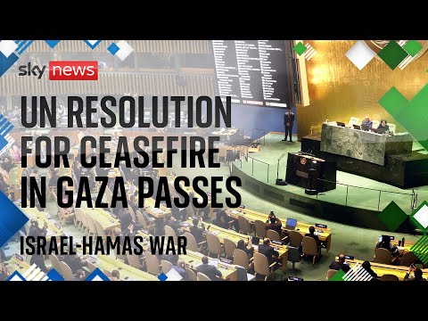 Watch Israel-Hamas latest: UN calls for immediate ceasefire in general assembly vote