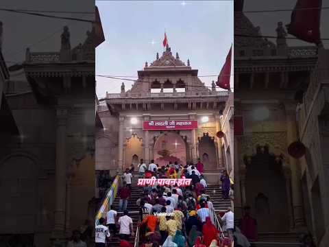 🌺🙏 एक बार राधा कहे, प्राणी पावन होत 🙏🌺 #trendingshorts #barasana #love #radheradhe #sukoon #radhe