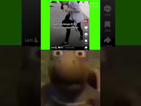 cây xăng thanh hóa ☠️